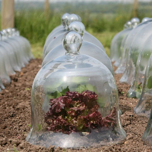 Access Glass Bells 10 Access Glass Bells - Image 10