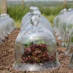 Access Glass Bells Set Of Three 21 Access Glass Bells Set Of Three -The Garden Hub Sales ACCBELL10 b0b5268f 3b4d 415c 9358 dc0570589112