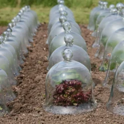 Access Glass Bells 12 Access Glass Bells -The Garden Hub Sales ACCBELL3