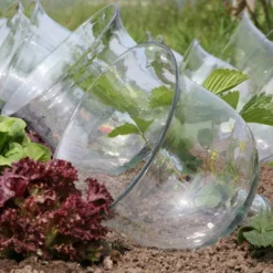 Access Glass Bells 13 Access Glass Bells -The Garden Hub Sales ACCBELL4