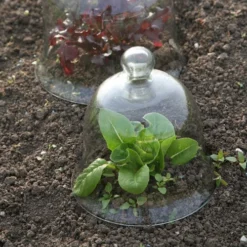 Access Glass Bells 14 Access Glass Bells -The Garden Hub Sales ACCBELL5