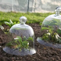 Access Glass Bells 15 Access Glass Bells -The Garden Hub Sales ACCBELL6