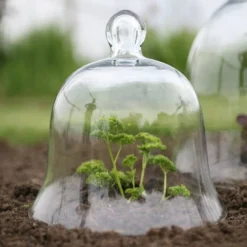 Access Glass Bells 16 Access Glass Bells -The Garden Hub Sales ACCBELL7