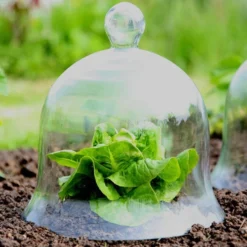 Access Glass Bells 17 Access Glass Bells -The Garden Hub Sales ACCBELL8