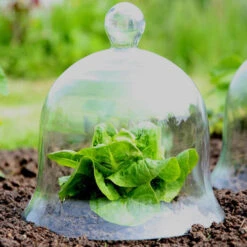 Access Glass Bells Set Of Three 19 Access Glass Bells Set Of Three -The Garden Hub Sales ACCBELL8 698ebf31 f424 4094 bc12 8ee4f1ba50bf