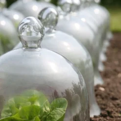 Access Glass Bells 18 Access Glass Bells -The Garden Hub Sales ACCBELL9