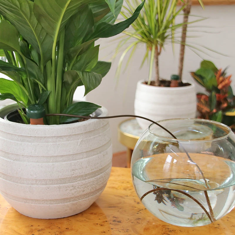 Blumat Automatic Pot Plant Waterers 5 Blumat Automatic Pot Plant Waterers - Image 5