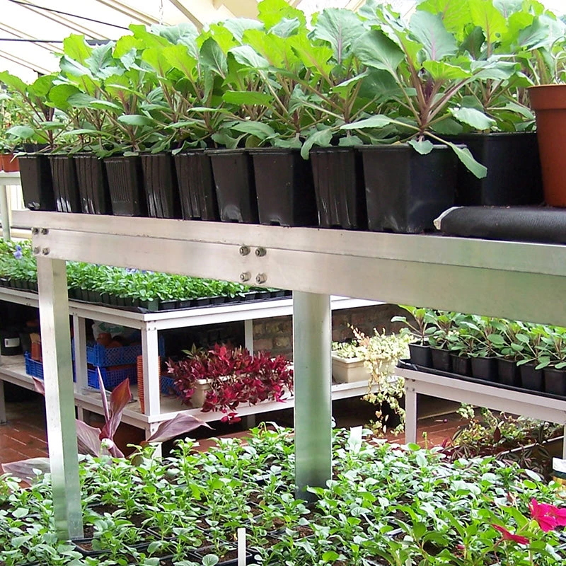 Commercial Bench Extra Tier 6 Commercial Bench Extra Tier - Image 6