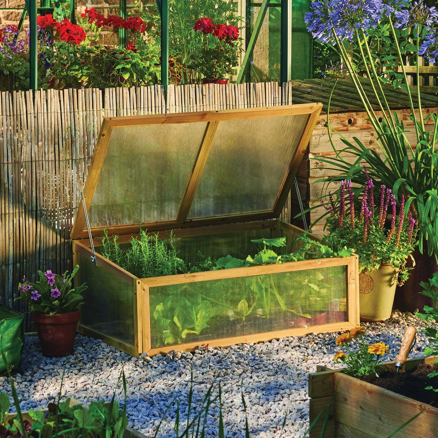 Wooden Cold Frame 2 Wooden Cold Frame - Image 2