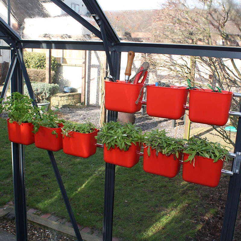 Caddy Rack 2 Caddy Rack - Image 2