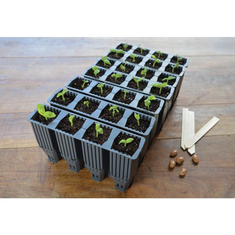 28 Cell Deep Root Plant Cells 10 28 Cell Deep Root Plant Cells - Image 10