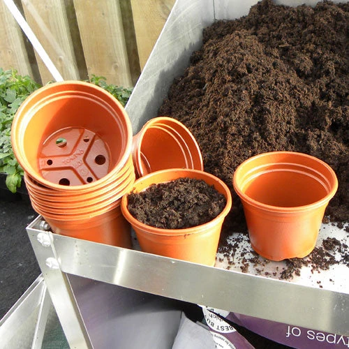 Economy Pots 2 Economy Pots - Image 2