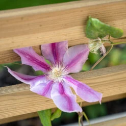 Forest Garden Living Screen Planter -The Garden Hub Sales FGLIVSCRPLANTHD4