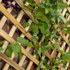 Forest Garden Trellis Planter -The Garden Hub Sales FGTPLAHD2