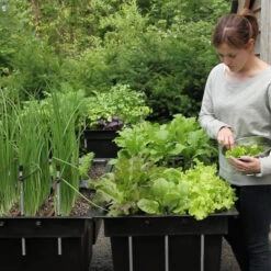 Ergrownomics - Four Square Planter Set 13 Ergrownomics - Four Square Planter Set -The Garden Hub Sales FSPM3