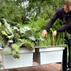 Ergrownomics - Four Square Planter Set 12 Ergrownomics - Four Square Planter Set -The Garden Hub Sales FSPM4