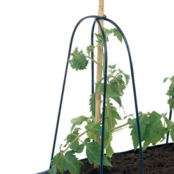 Grow Bag Cane Frame 8 Grow Bag Cane Frame -The Garden Hub Sales GBCF2