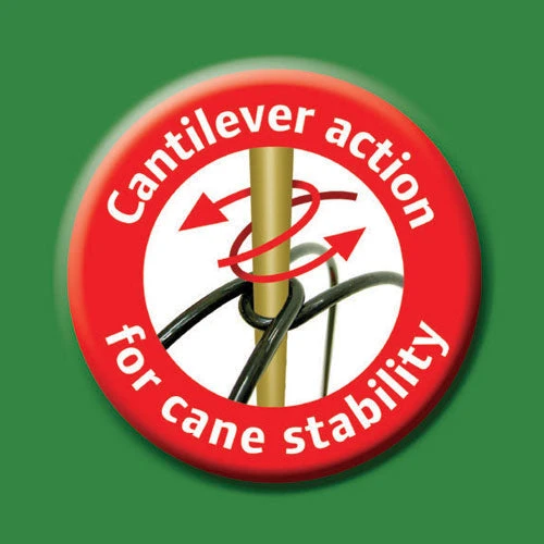 Grow Bag Cane Frame 4 Grow Bag Cane Frame - Image 4