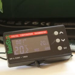 Digital Day & Night Thermostat With Timer -The Garden Hub Sales HBST0010013