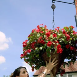 Hilo -The Garden Hub Sales HILO5