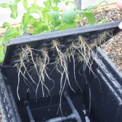 Hydropod Propagator -The Garden Hub Sales HYCP14