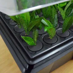 Hydropod Propagator -The Garden Hub Sales HYCP16
