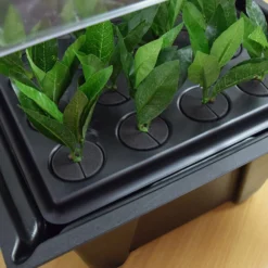 Hydropod Propagator -The Garden Hub Sales HYCP17