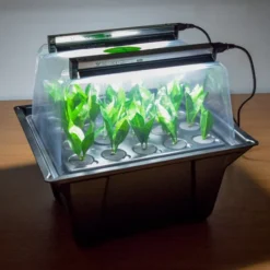 Hydropod Propagator -The Garden Hub Sales HYCP19