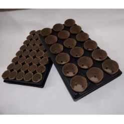 Shuttle Trays With Jiffy Pots -The Garden Hub Sales JPST1