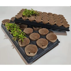 Shuttle Trays With Jiffy Pots -The Garden Hub Sales JPST4