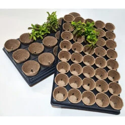 Shuttle Trays With Jiffy Pots -The Garden Hub Sales JPST6