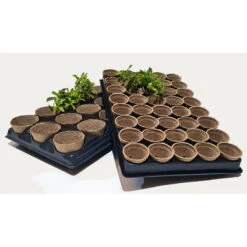 Shuttle Trays With Jiffy Pots -The Garden Hub Sales JPST7
