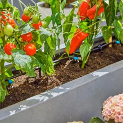 Gardena Micro Drip Irrigation Drip Starter Set -The Garden Hub Sales LDMDISK4