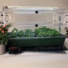 Deluxe EarlyGrow Propagator
