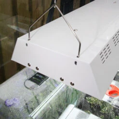 Maxibright Propagation Lights -The Garden Hub Sales MPL8