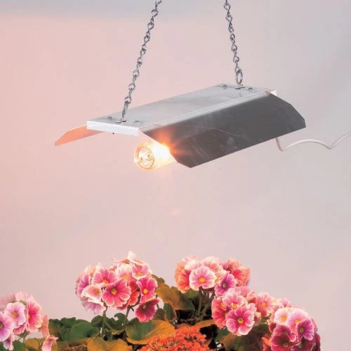 Professional Digital 600w Propagation Light 3 Professional Digital 600w Propagation Light - Image 3