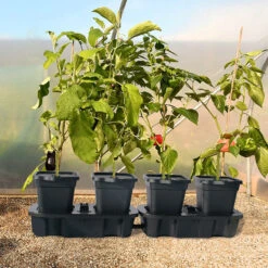 Quadgrow Planter -The Garden Hub Sales QGP12