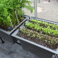 Ergrownomics - Two Planter Set 11 Ergrownomics - Two Planter Set -The Garden Hub Sales TWP2