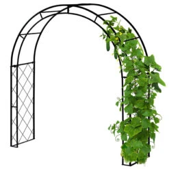 Vegtrug Climbing Arch 11 Vegtrug Climbing Arch -The Garden Hub Sales VTCA3