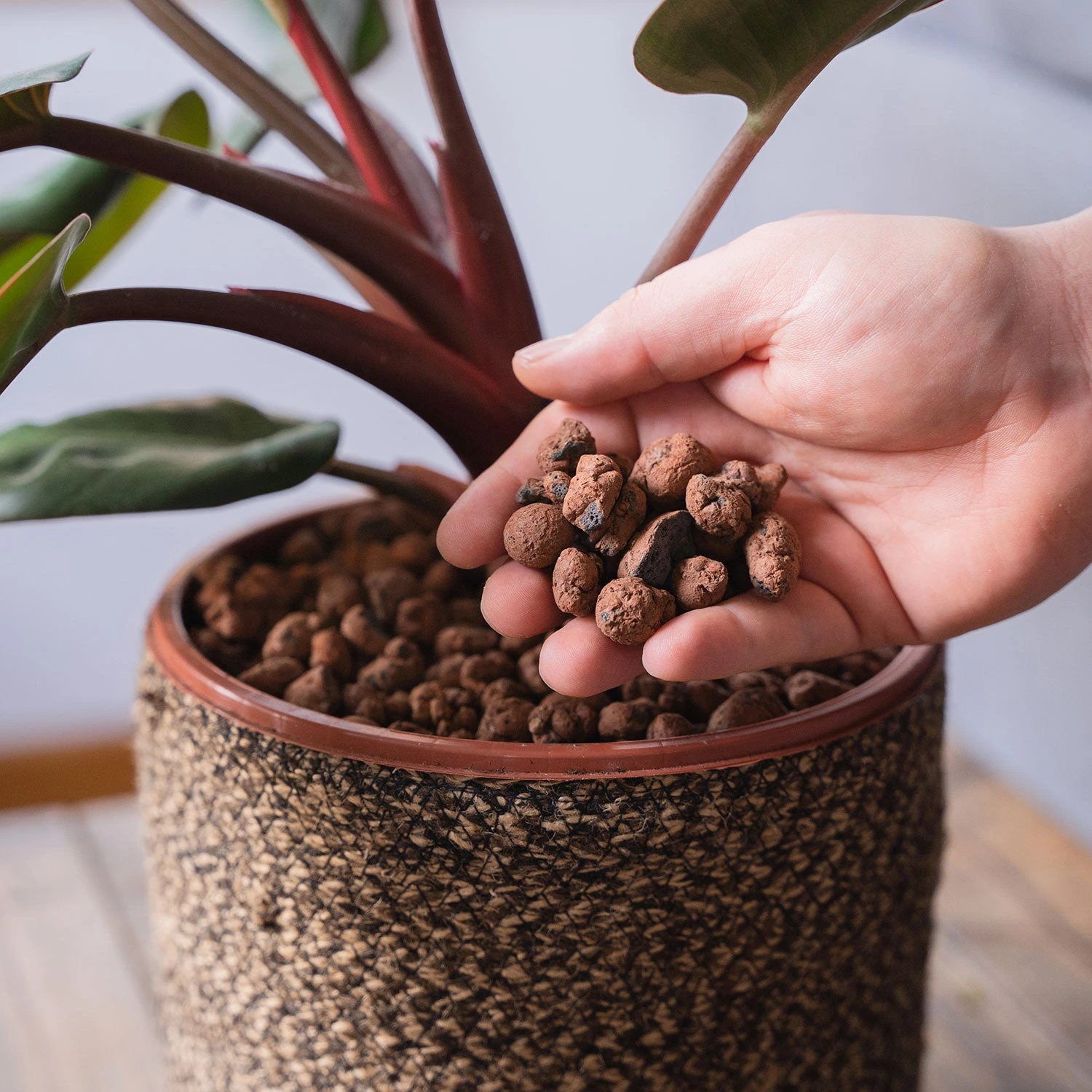 Gro-Sure Hydroleca 10 Litre Bag 1 Gro-Sure Hydroleca 10 Litre Bag