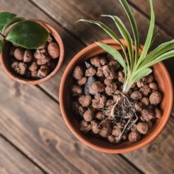 Gro-Sure Hydroleca 10 Litre Bag 9 Gro-Sure Hydroleca 10 Litre Bag -The Garden Hub Sales WLGSH105