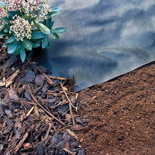 Weed Mulch 5 Weed Mulch - Image 5