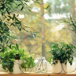 Blumat Automatic Pot Plant Waterers 7 Blumat Automatic Pot Plant Waterers -The Garden Hub Sales bappw3 1