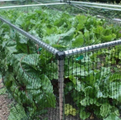 1' 6" High X 8' Wide Fruit & Vegetable Cage -The Garden Hub Sales fc164