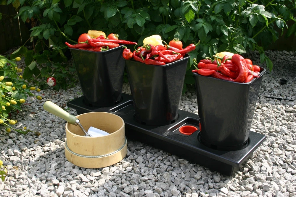 Triplegrow Planter Chillegrow 12 Triplegrow Planter Chillegrow - Image 12