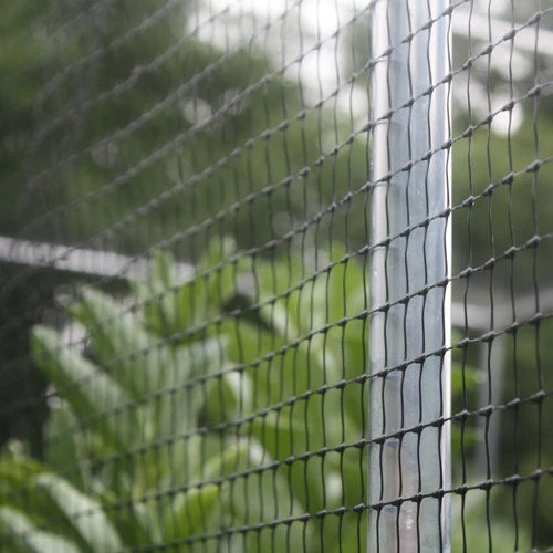 Heavy Duty Fruit Cage 4 Heavy Duty Fruit Cage - Image 4