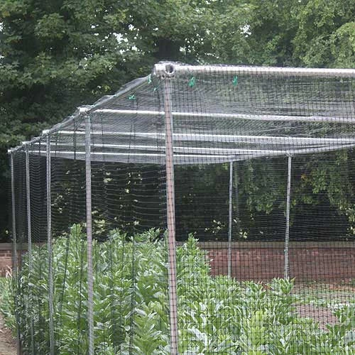Heavy Duty Fruit Cage 7 Heavy Duty Fruit Cage - Image 7