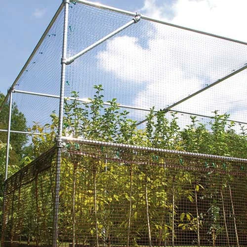 Heavy Duty Fruit Cage 8 Heavy Duty Fruit Cage - Image 8
