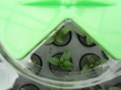 Hydropod Propagator -The Garden Hub Sales hycp11 1 4