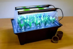 Hydropod Propagator -The Garden Hub Sales hycp2 4